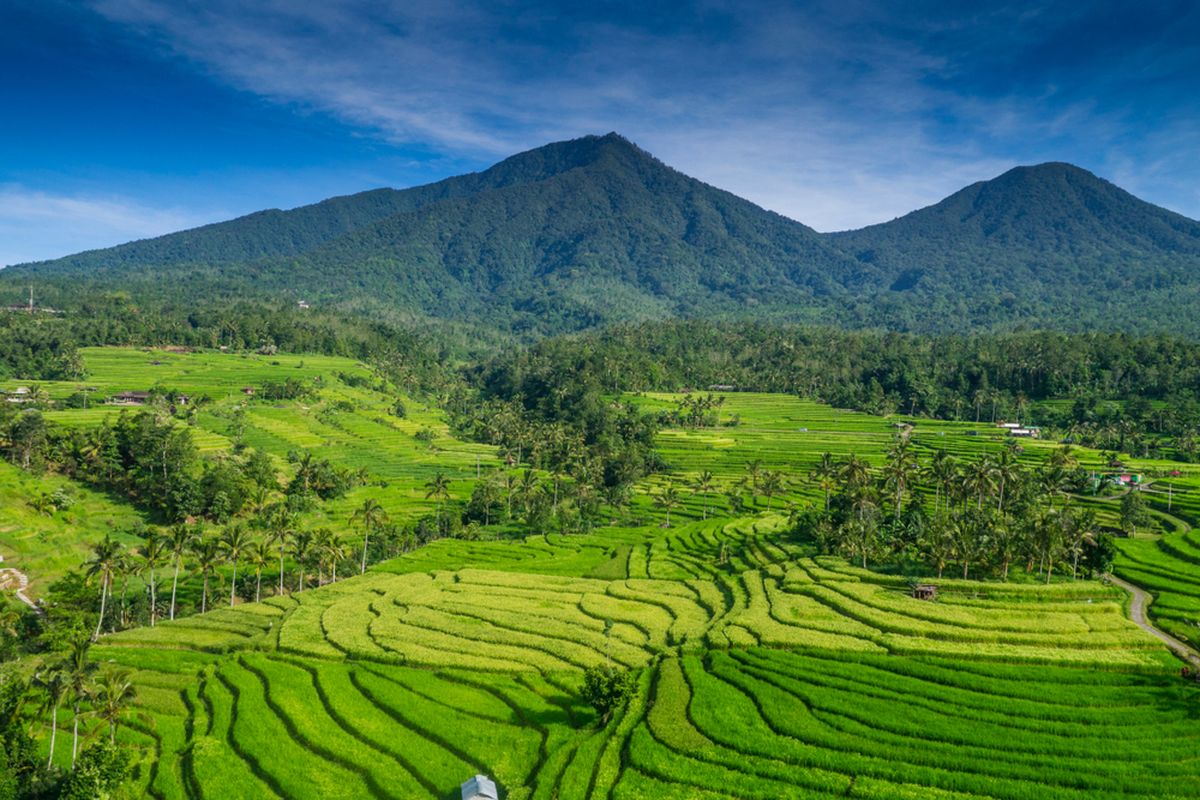 Beratan Temple (Bedugul), Jatiluwih & Tanah Lot, Private Driver Tour Bali
