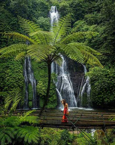 Twin Waterfall - Gitgit